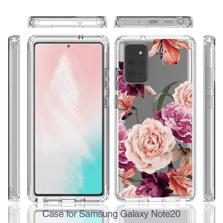 For Samsung Galaxy Note20 PC+TPU Transparent Painted Phone Case