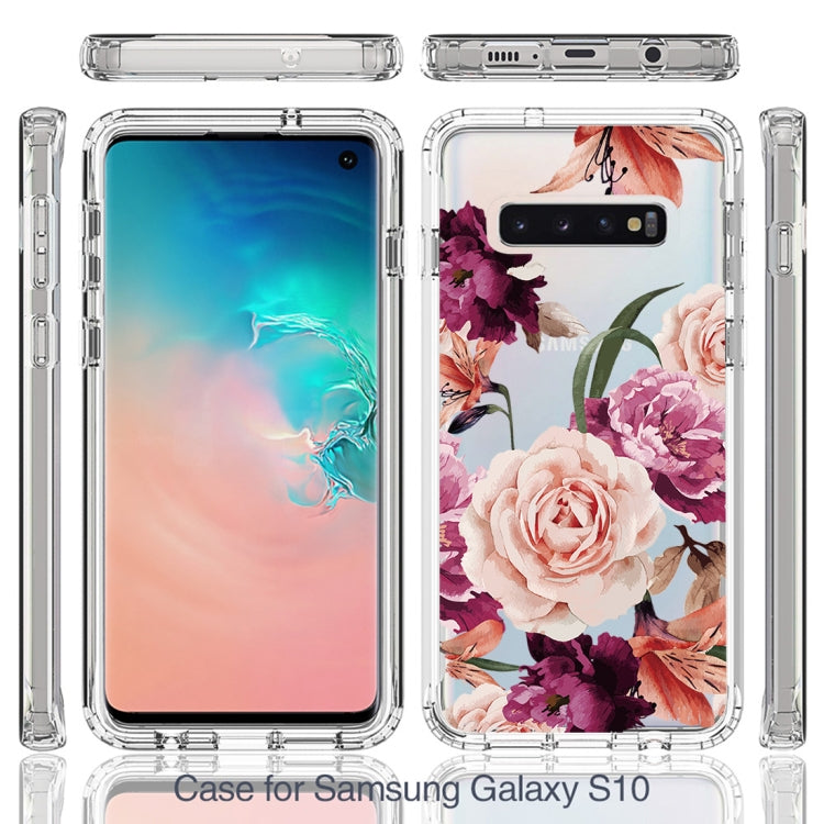 For Samsung Galaxy S10 PC+TPU Transparent Painted Phone Case