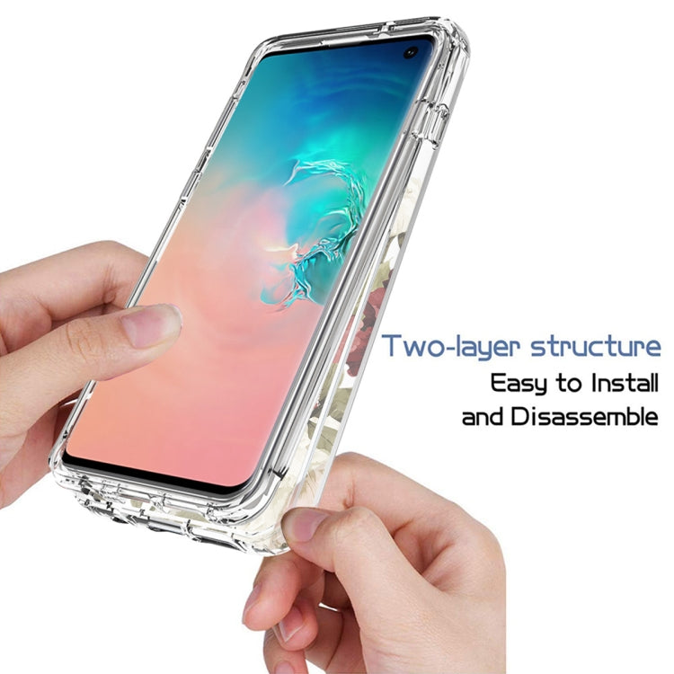 For Samsung Galaxy S10+ PC+TPU Transparent Painted Phone Case