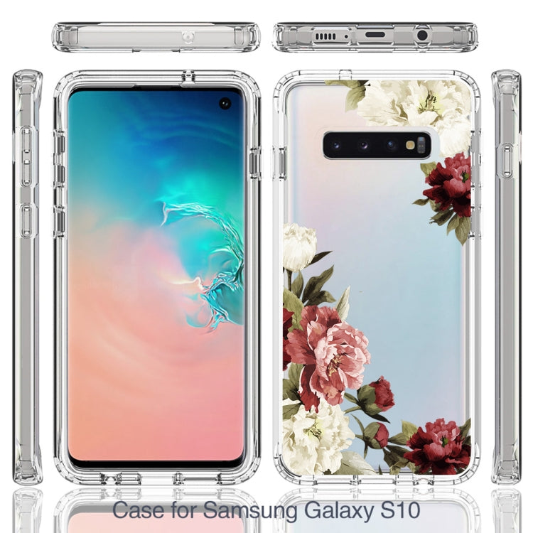 For Samsung Galaxy S10+ PC+TPU Transparent Painted Phone Case