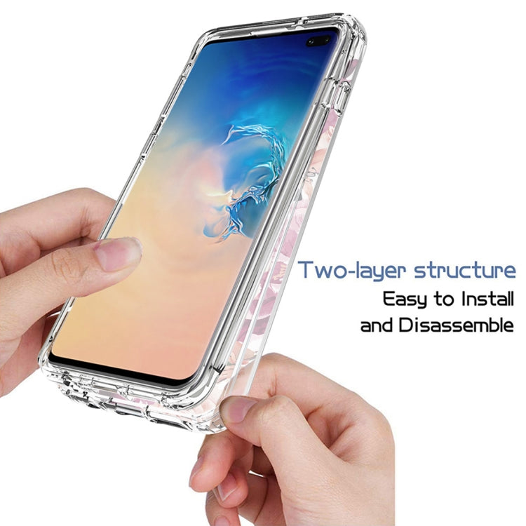 For Samsung Galaxy S10+ PC+TPU Transparent Painted Phone Case