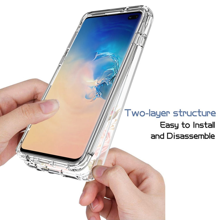 For Samsung Galaxy S10+ PC+TPU Transparent Painted Phone Case