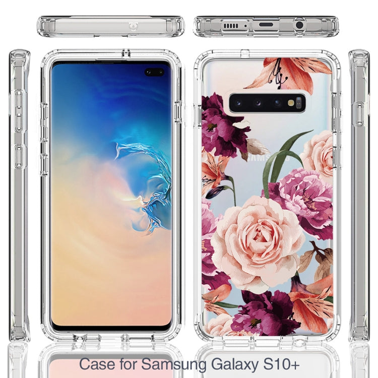 For Samsung Galaxy S10+ PC+TPU Transparent Painted Phone Case
