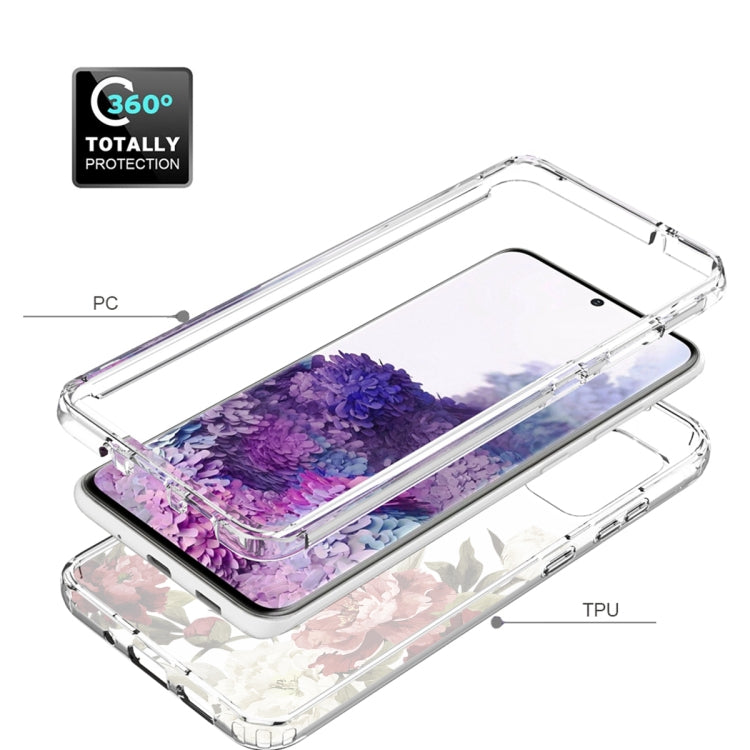 For Samsung Galaxy S20 PC+TPU Transparent Painted Phone Case