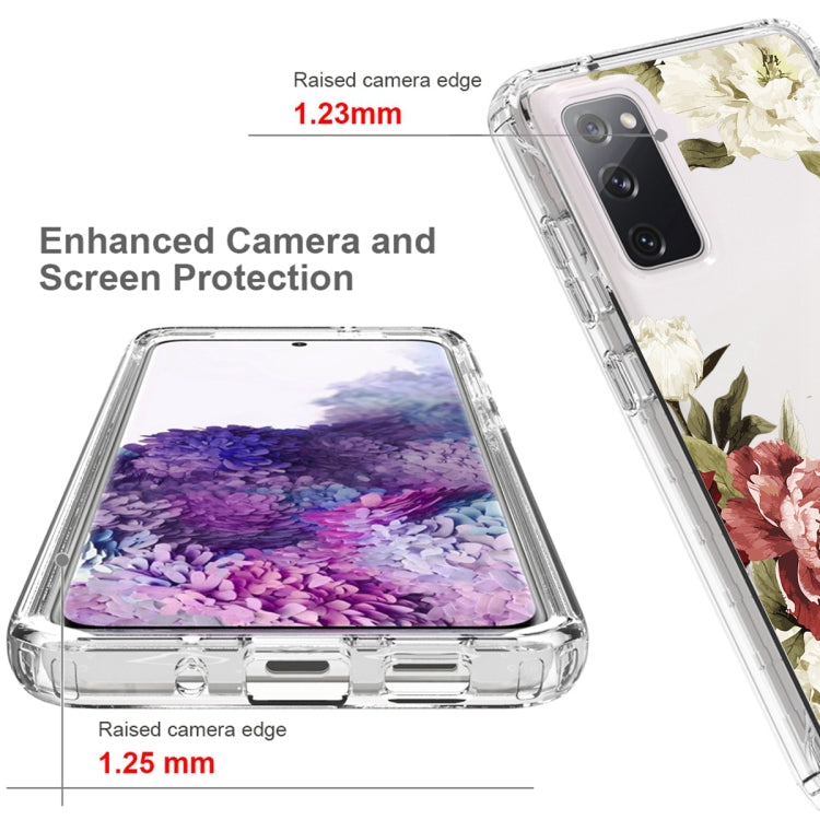 For Samsung Galaxy S20 PC+TPU Transparent Painted Phone Case