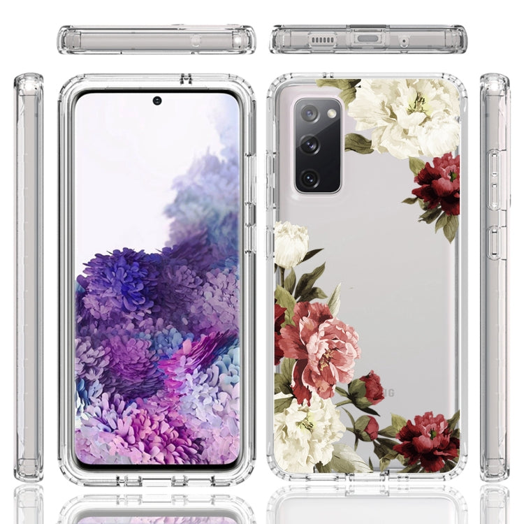 For Samsung Galaxy S20 PC+TPU Transparent Painted Phone Case