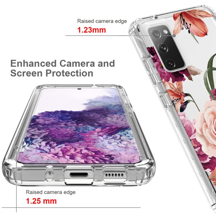 For Samsung Galaxy S20 PC+TPU Transparent Painted Phone Case