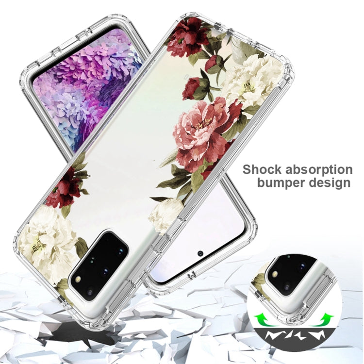 For Samsung Galaxy S20+ PC+TPU Transparent Painted Phone Case