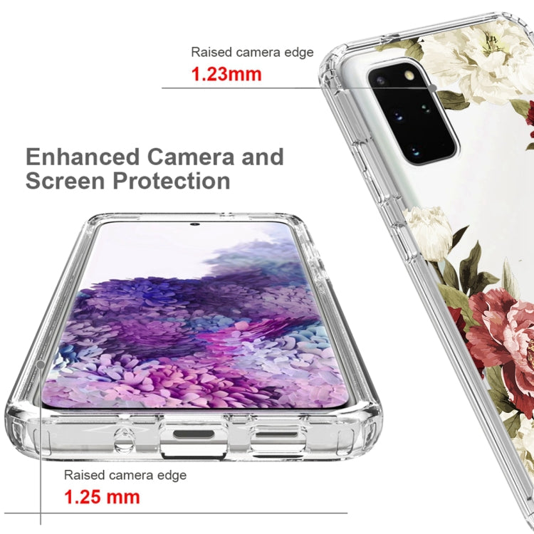 For Samsung Galaxy S20+ PC+TPU Transparent Painted Phone Case