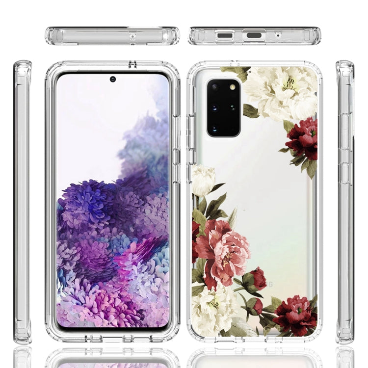For Samsung Galaxy S20+ PC+TPU Transparent Painted Phone Case
