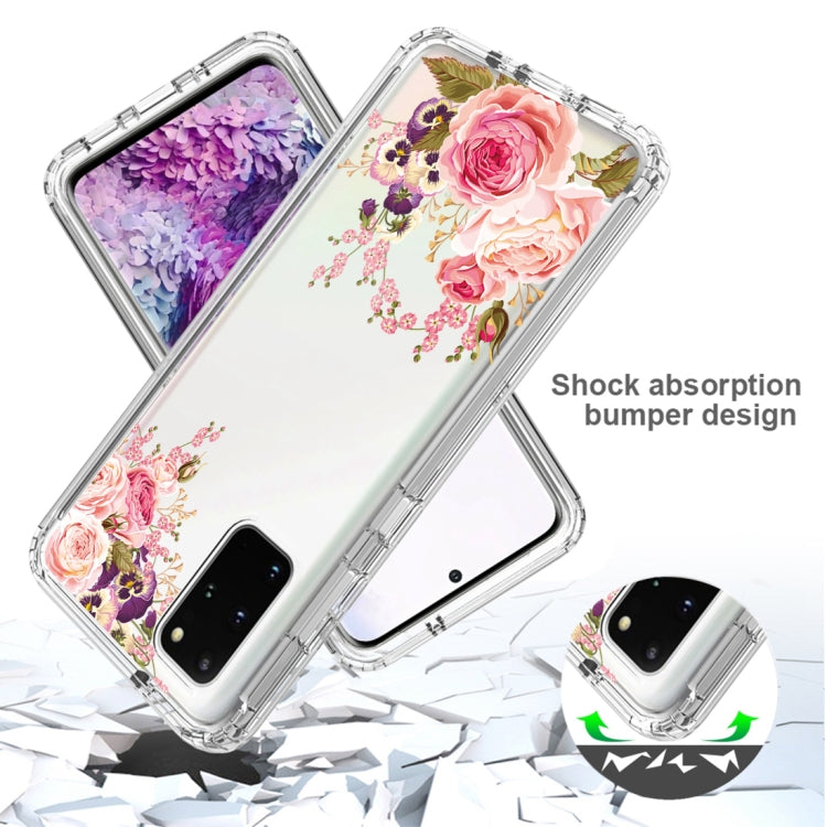 For Samsung Galaxy S20+ PC+TPU Transparent Painted Phone Case