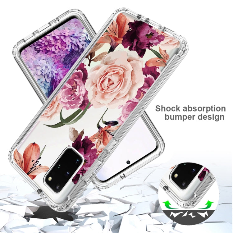 For Samsung Galaxy S20+ PC+TPU Transparent Painted Phone Case