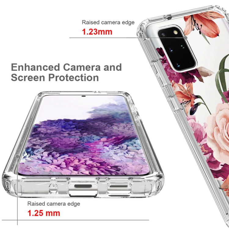 For Samsung Galaxy S20+ PC+TPU Transparent Painted Phone Case