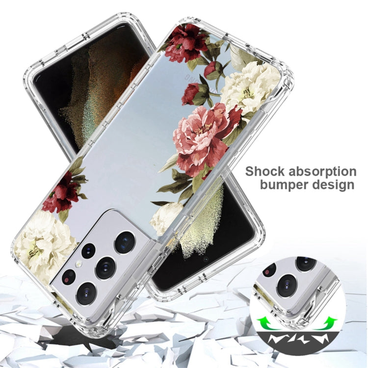 For Samsung Galaxy S21 Ultra 5G PC+TPU Transparent Painted Phone Case
