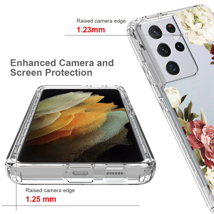 For Samsung Galaxy S21 Ultra 5G PC+TPU Transparent Painted Phone Case