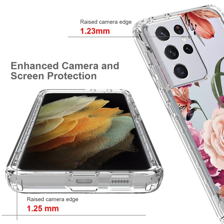 For Samsung Galaxy S21 Ultra 5G PC+TPU Transparent Painted Phone Case
