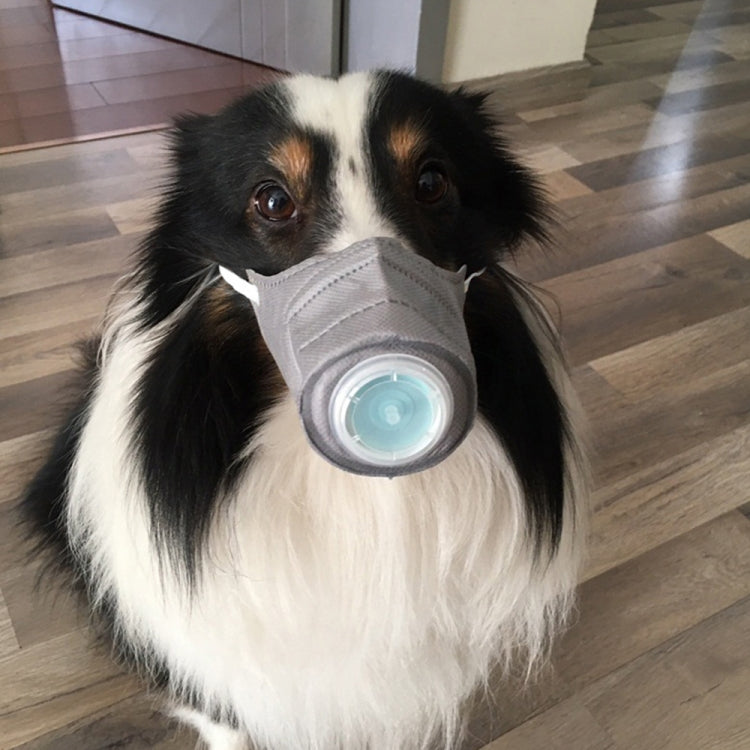 6 PCS Breathable Dustproof Mask Pet Dog Mouth Air Filtration Mask, Size:S 24cm x 8cm(Grey)