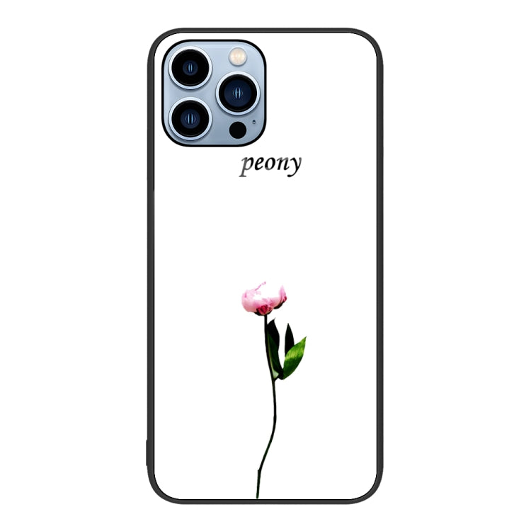 For iPhone 13 Pro Max Colorful Painted Glass Phone Case