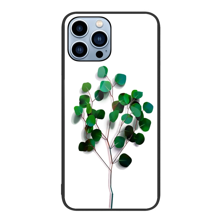 For iPhone 13 Pro Colorful Painted Glass Phone Case