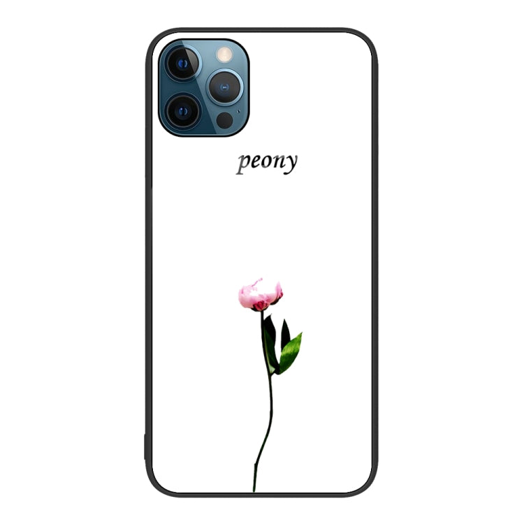 For iPhone 12 Pro Max Colorful Painted Glass Phone Case