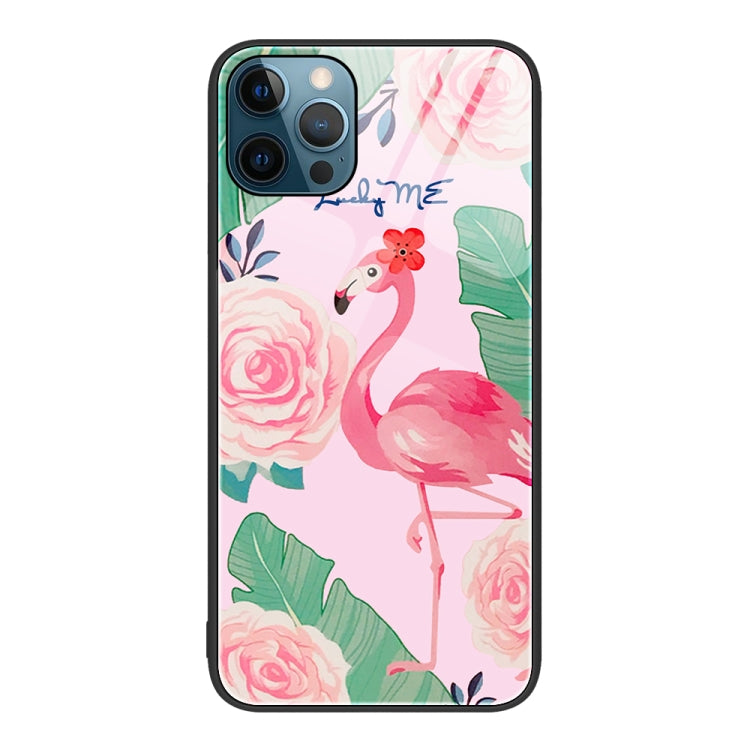 For iPhone 12 Pro Max Colorful Painted Glass Phone Case