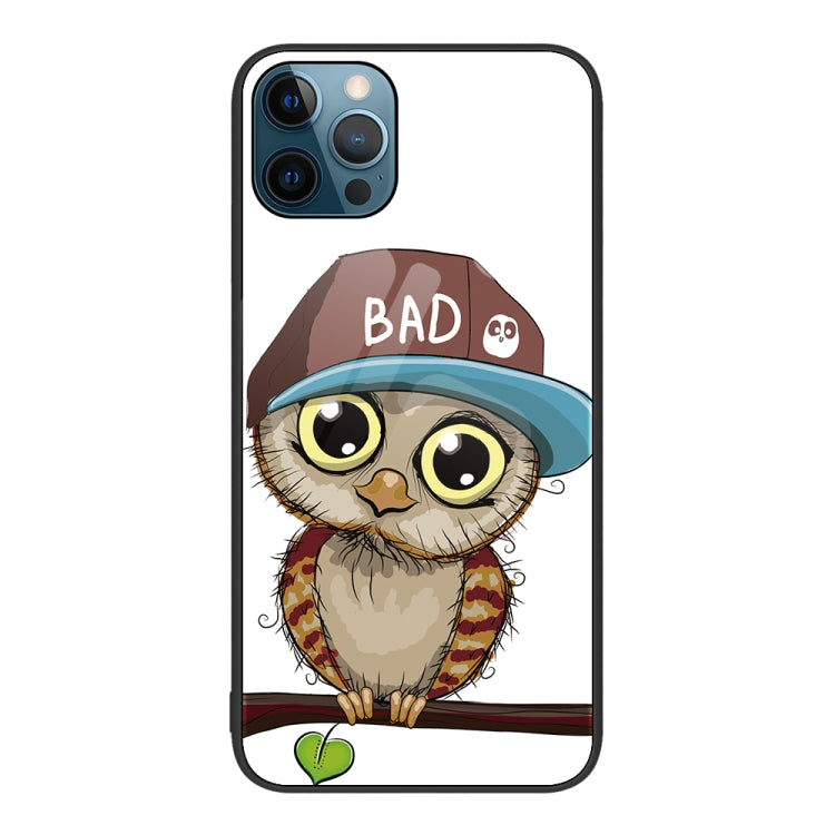 For iPhone 12 Pro Max Colorful Painted Glass Phone Case