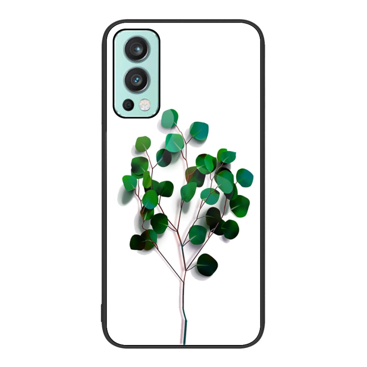 For OnePlus Nord 2 5G Colorful Painted Glass Phone Case
