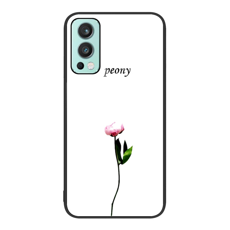 For OnePlus Nord 2 5G Colorful Painted Glass Phone Case