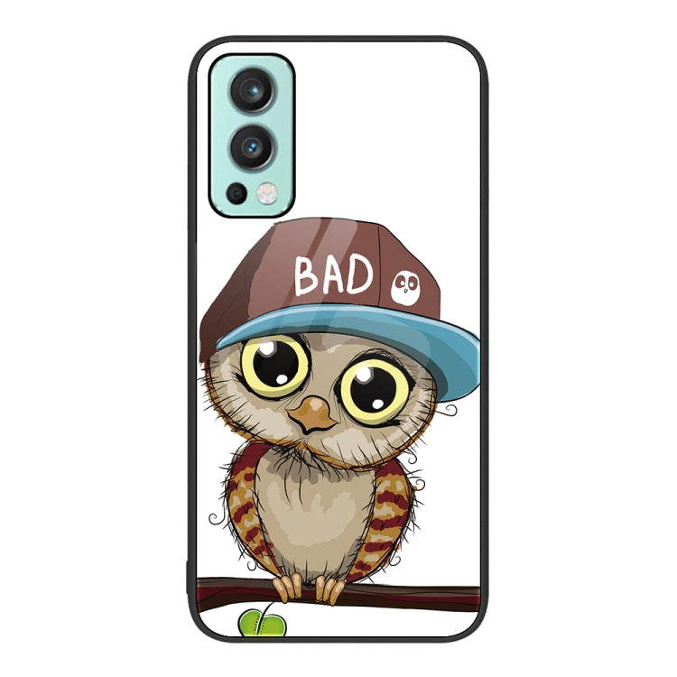 For OnePlus Nord 2 5G Colorful Painted Glass Phone Case