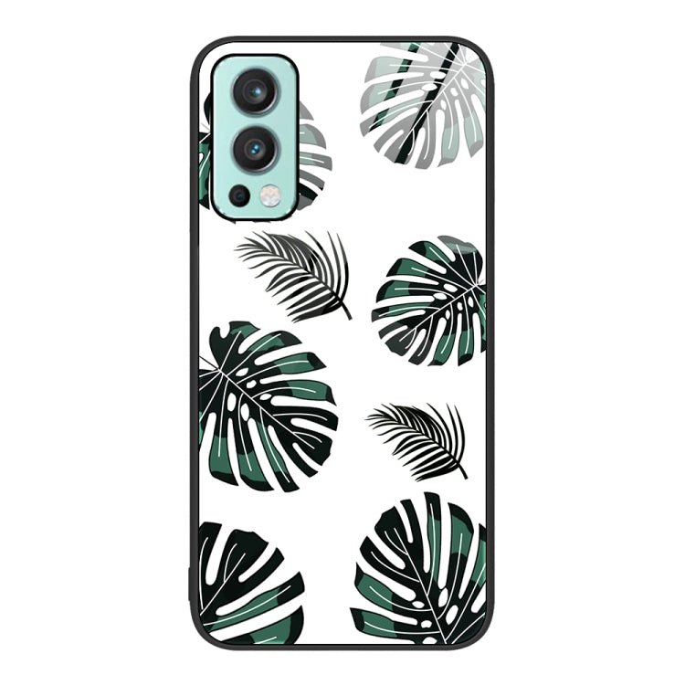 For OnePlus Nord 2 5G Colorful Painted Glass Phone Case