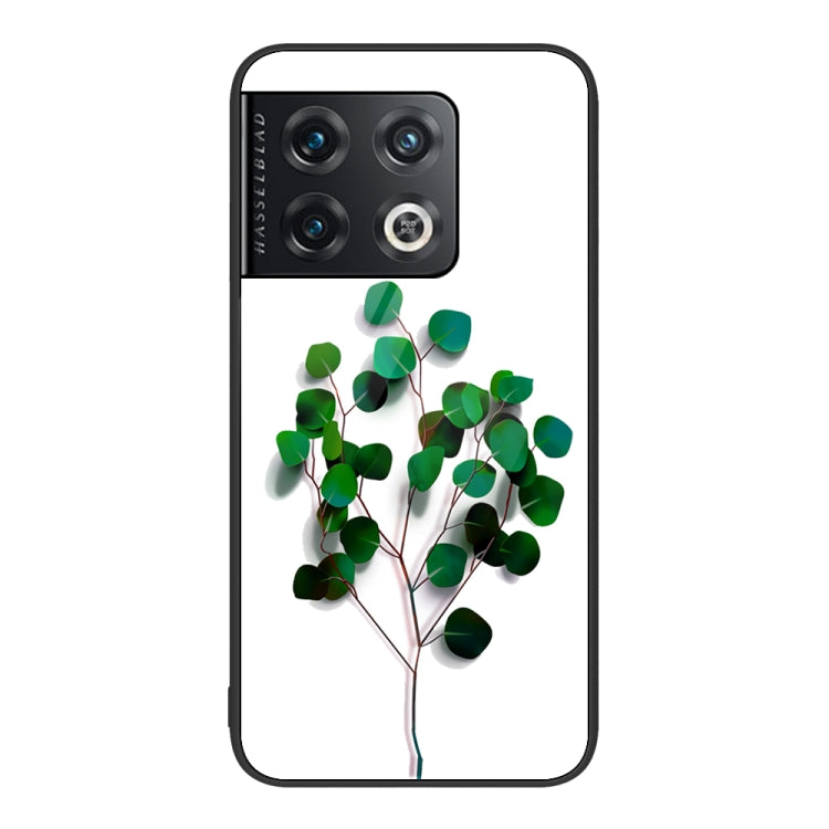 For OnePlus 10 Pro Colorful Painted Glass Phone Case