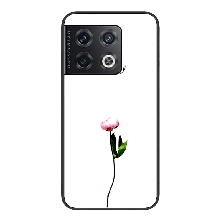 For OnePlus 10 Pro Colorful Painted Glass Phone Case