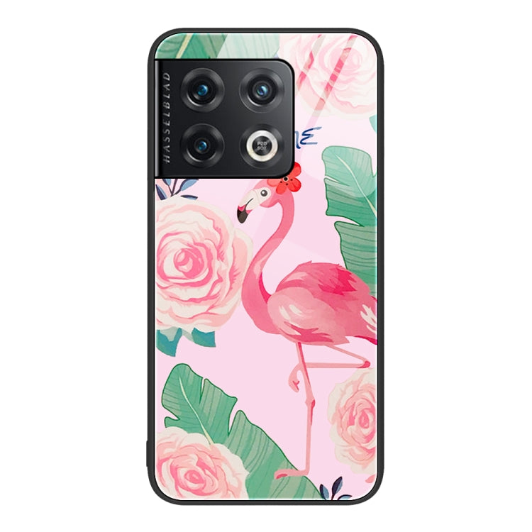 For OnePlus 10 Pro Colorful Painted Glass Phone Case