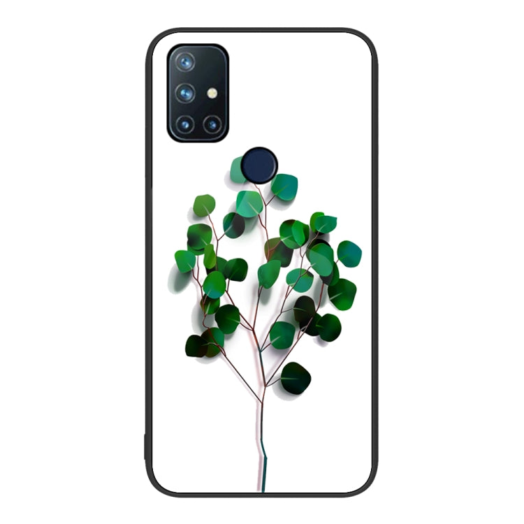 For OnePlus Nord N10 5G Colorful Painted Glass Phone Case