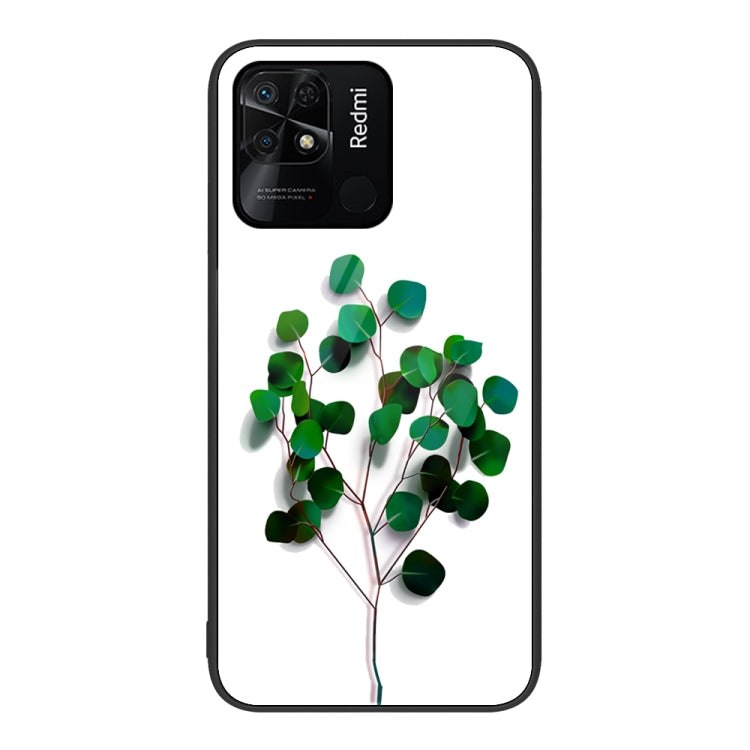 For Xiaomi Redmi 10C Colorful Painted Glass Phone Case