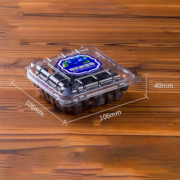 100 PCS Disposable Transparent Plastic Vegetable and Fruit Packaging Fresh-keeping Box with Lid, Style:125A