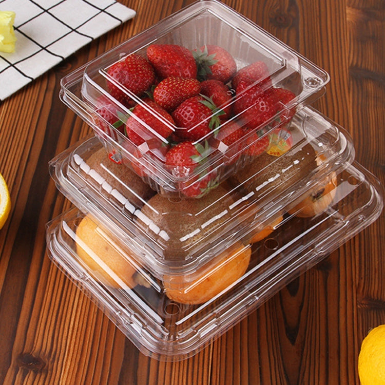 100 PCS Disposable Transparent Plastic Vegetable and Fruit Packaging Fresh-keeping Box with Lid, Style:250A