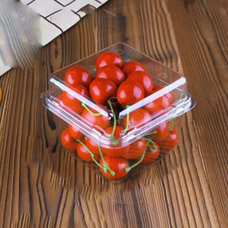 100 PCS Disposable Transparent Plastic Vegetable and Fruit Packaging Fresh-keeping Box with Lid, Style:250S