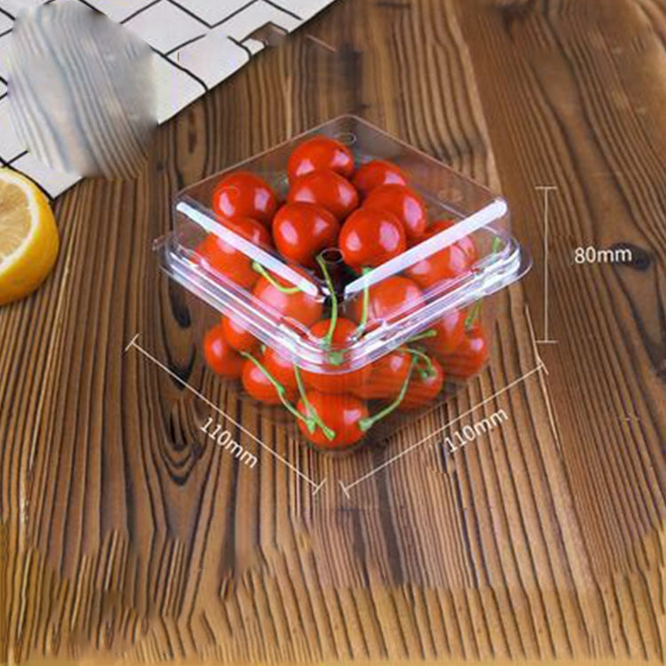 100 PCS Disposable Transparent Plastic Vegetable and Fruit Packaging Fresh-keeping Box with Lid, Style:250S