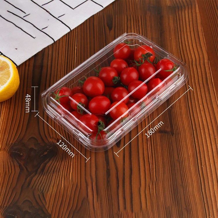 100 PCS Disposable Transparent Plastic Vegetable and Fruit Packaging Fresh-keeping Box with Lid, Style:300A