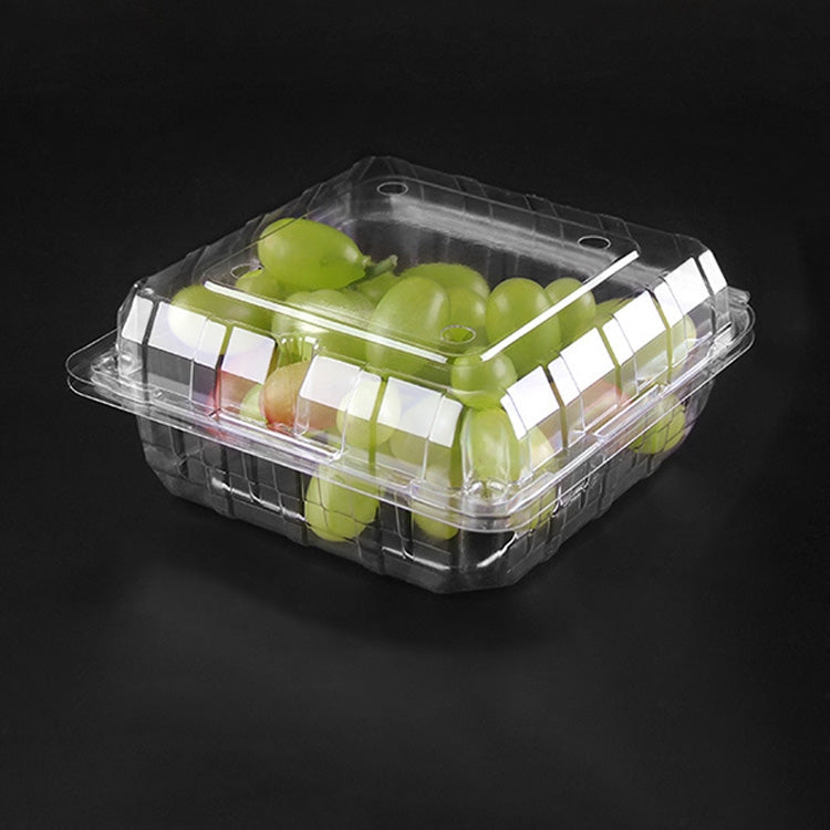 100 PCS Disposable Transparent Plastic Vegetable and Fruit Packaging Fresh-keeping Box with Lid, Style:400S