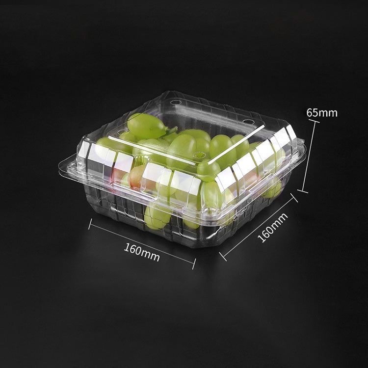 100 PCS Disposable Transparent Plastic Vegetable and Fruit Packaging Fresh-keeping Box with Lid, Style:400S