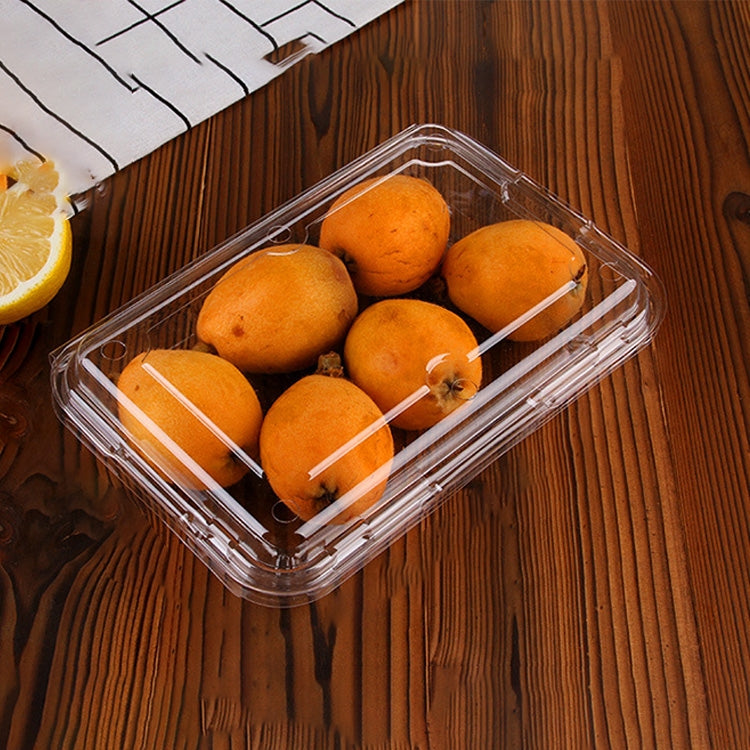100 PCS Disposable Transparent Plastic Vegetable and Fruit Packaging Fresh-keeping Box with Lid, Style:400A