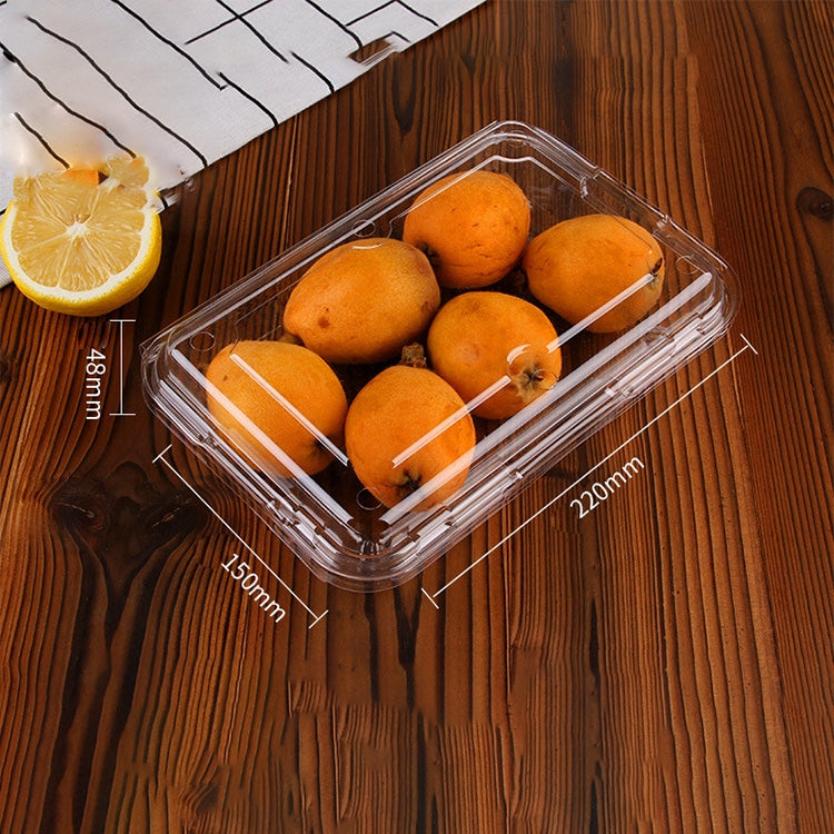 100 PCS Disposable Transparent Plastic Vegetable and Fruit Packaging Fresh-keeping Box with Lid, Style:400A