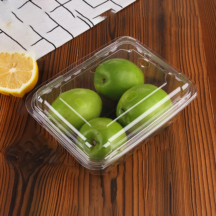 100 PCS Disposable Transparent Plastic Vegetable and Fruit Packaging Fresh-keeping Box with Lid, Style:500A