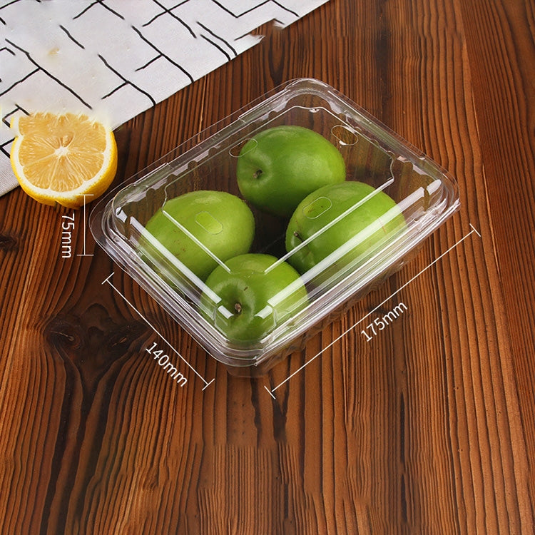 100 PCS Disposable Transparent Plastic Vegetable and Fruit Packaging Fresh-keeping Box with Lid, Style:500A