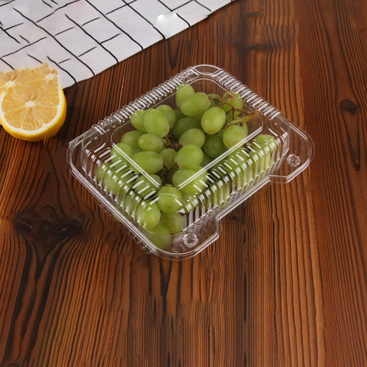 100 PCS Disposable Transparent Plastic Vegetable and Fruit Packaging Fresh-keeping Box with Lid, Style:500B Ordinary