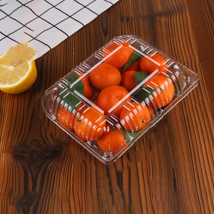100 PCS Disposable Transparent Plastic Vegetable and Fruit Packaging Fresh-keeping Box with Lid, Style:500C