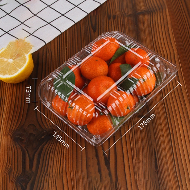 100 PCS Disposable Transparent Plastic Vegetable and Fruit Packaging Fresh-keeping Box with Lid, Style:500C