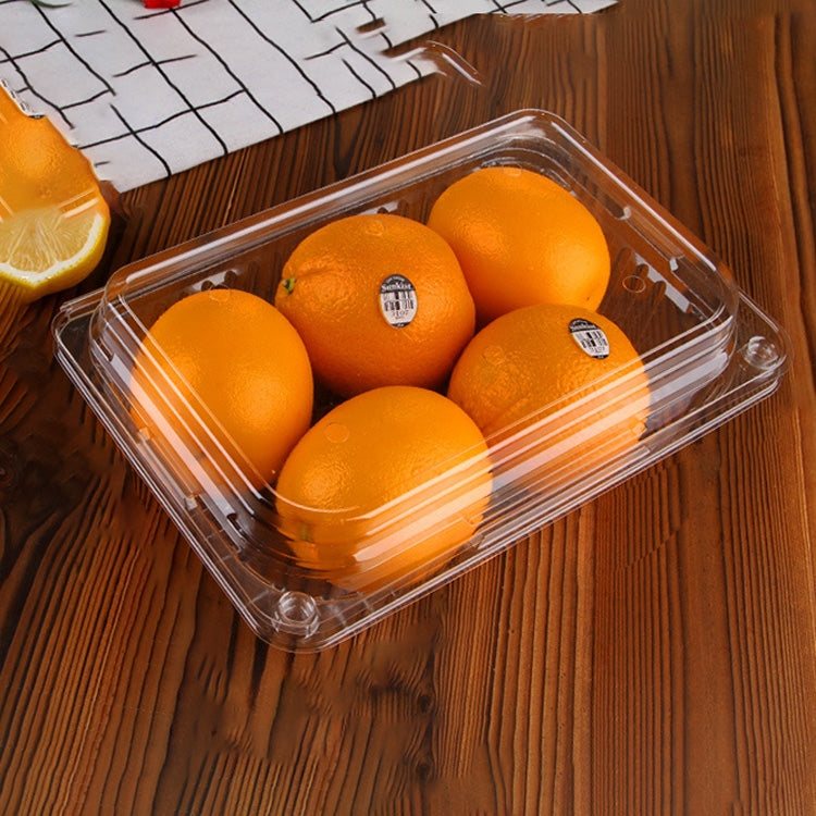 100 PCS Disposable Transparent Plastic Vegetable and Fruit Packaging Fresh-keeping Box with Lid, Style:1500A